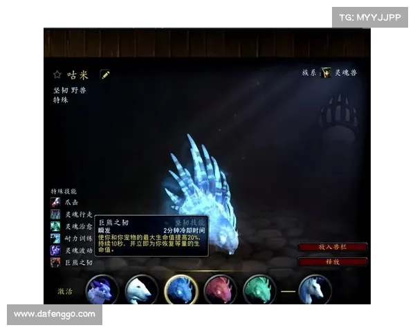 魔兽世界插件：技能栏焦点展示大揭秘